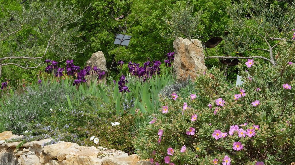 Les Hauts Des Materonnes Tourves Luaran gambar